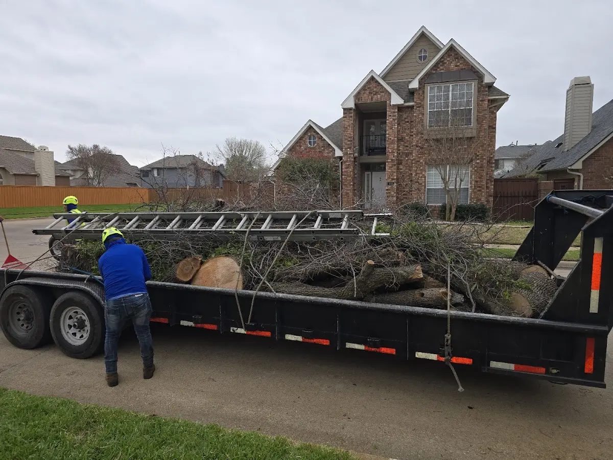 Expert Tree Fertilization with proper safety equipment in Hampton